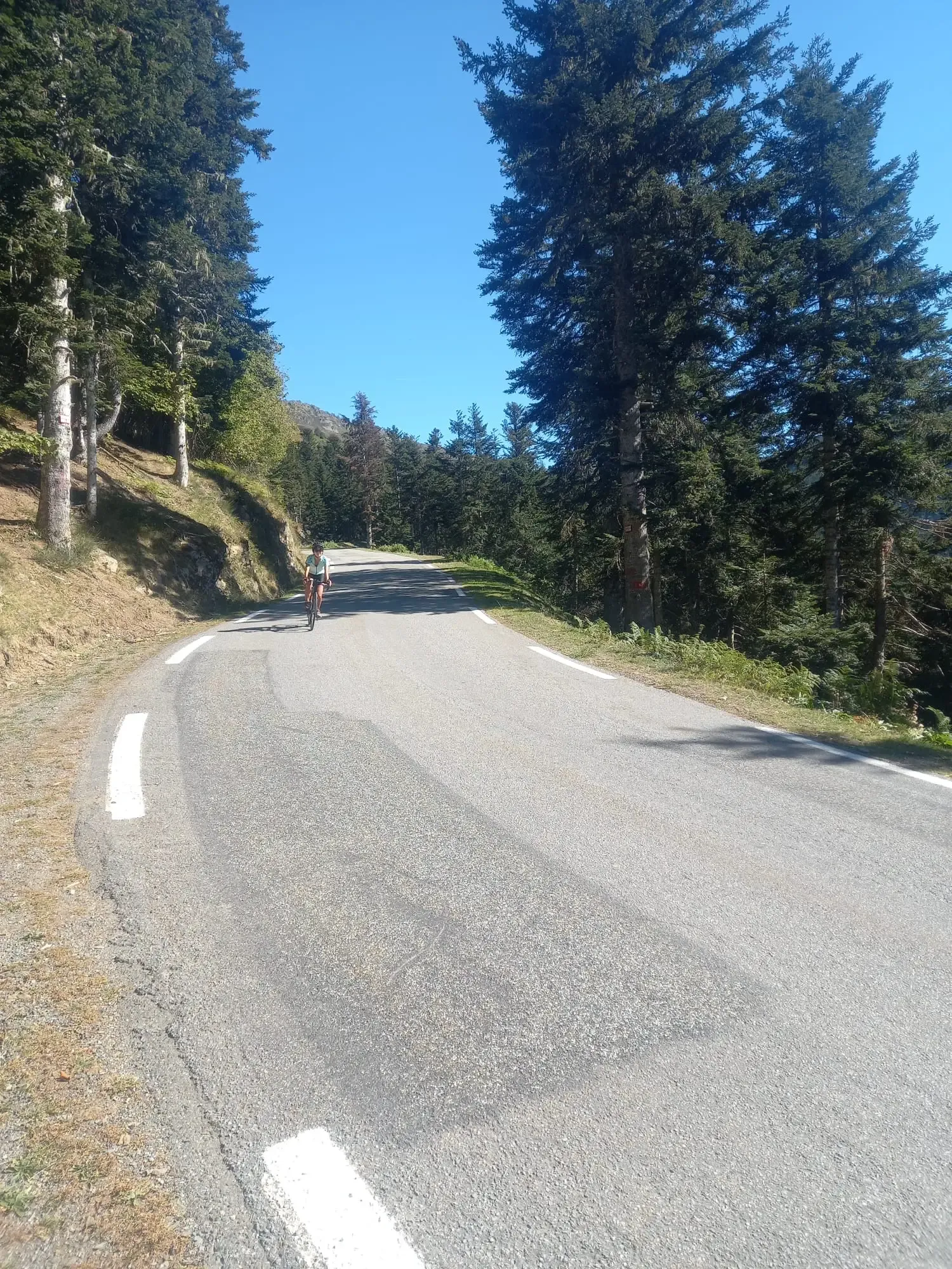 Une cycliste montant un lacet goudronné de l'ascension forestière du Col d'Aspin à vélo (côté Arreau), traversant une forêt dense de conifères sous un ciel bleu clair dans les Pyrénées